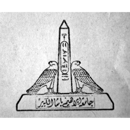 Ain Shams University