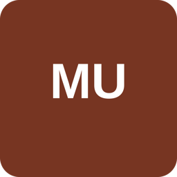 MEF University